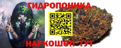 индика Кинель