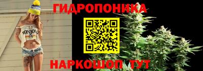 mix Кингисепп
